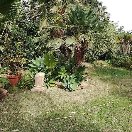 Resdencial En Diana דירה